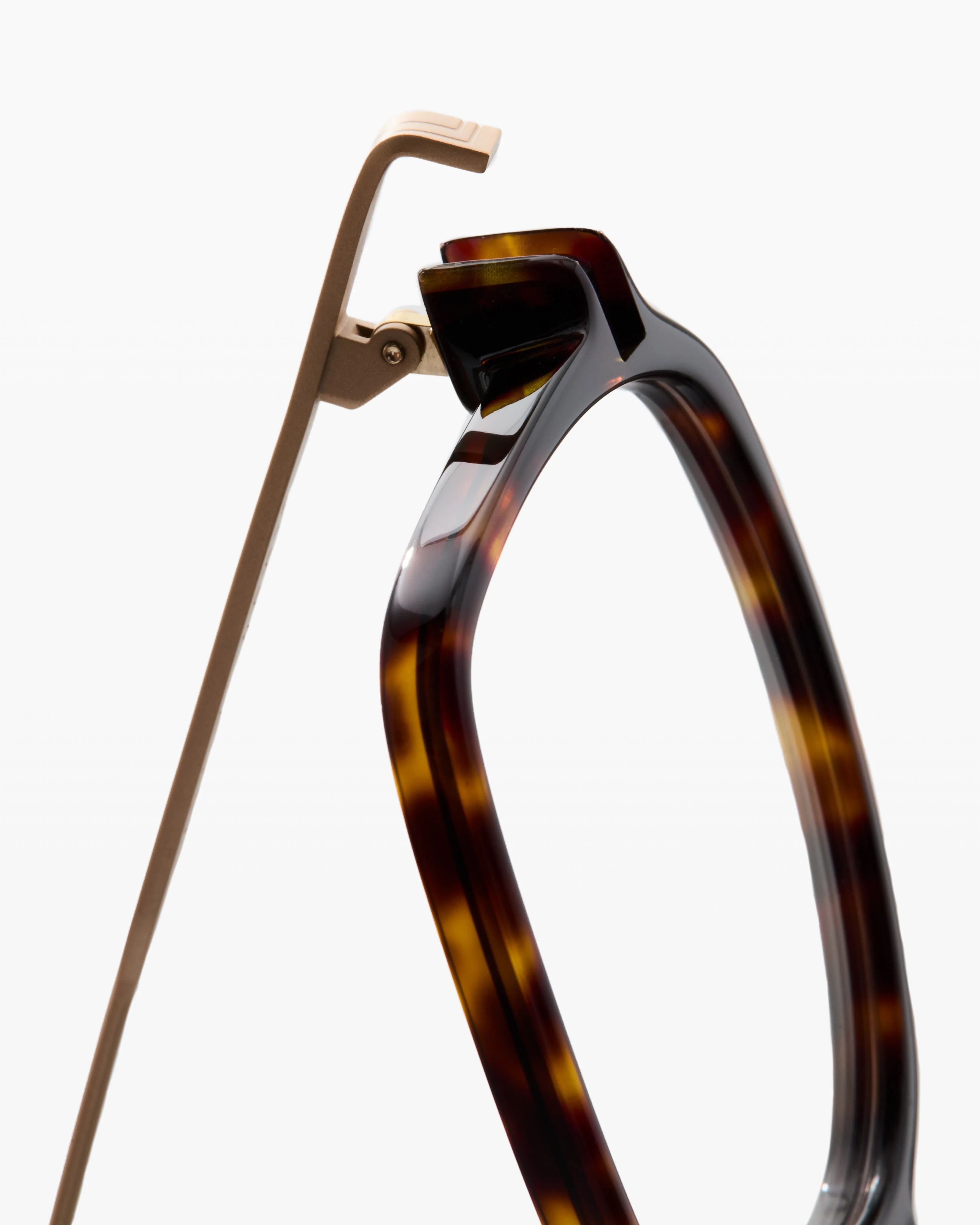 The Nao - Image 6