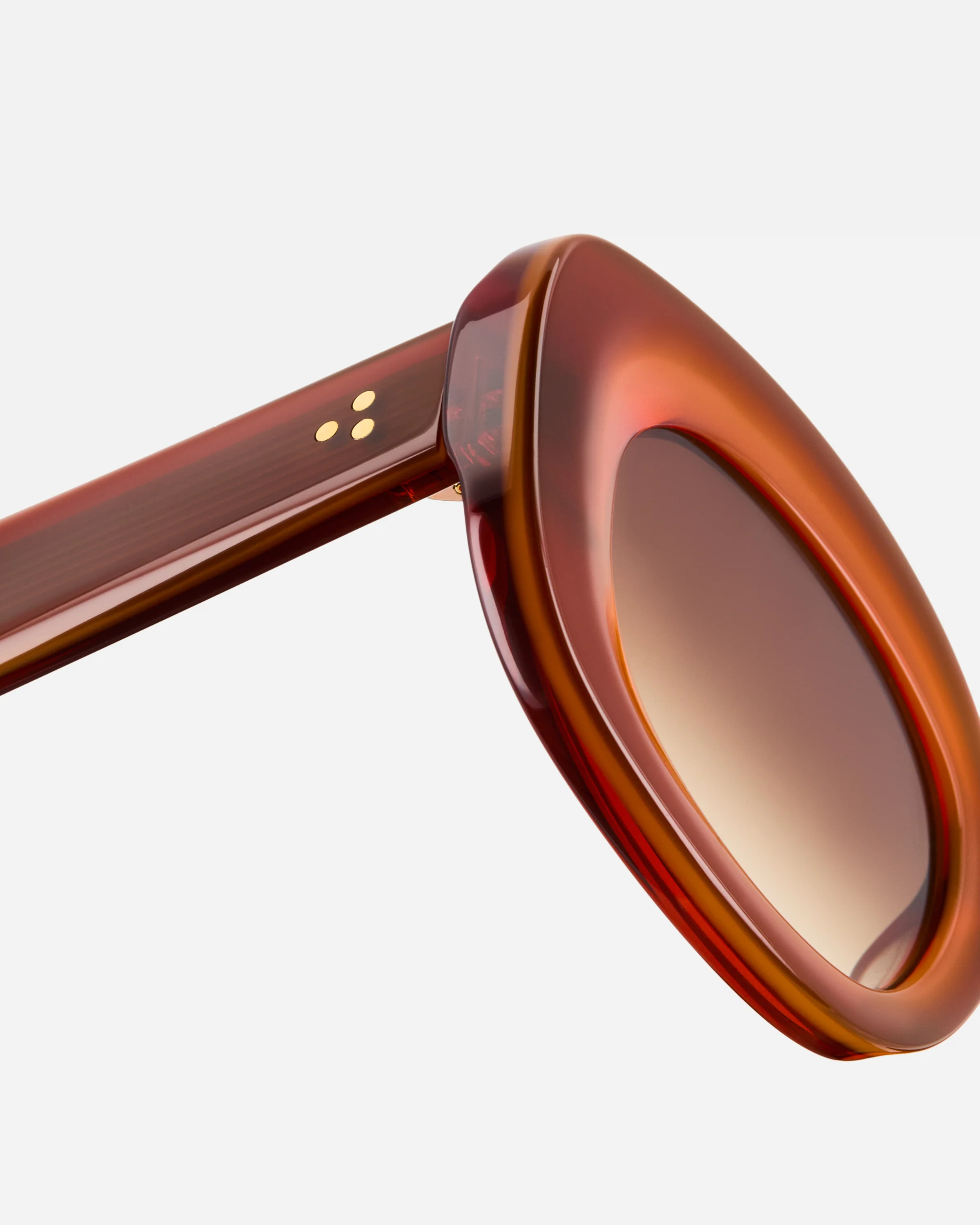 The Cinnamon - Image 4
