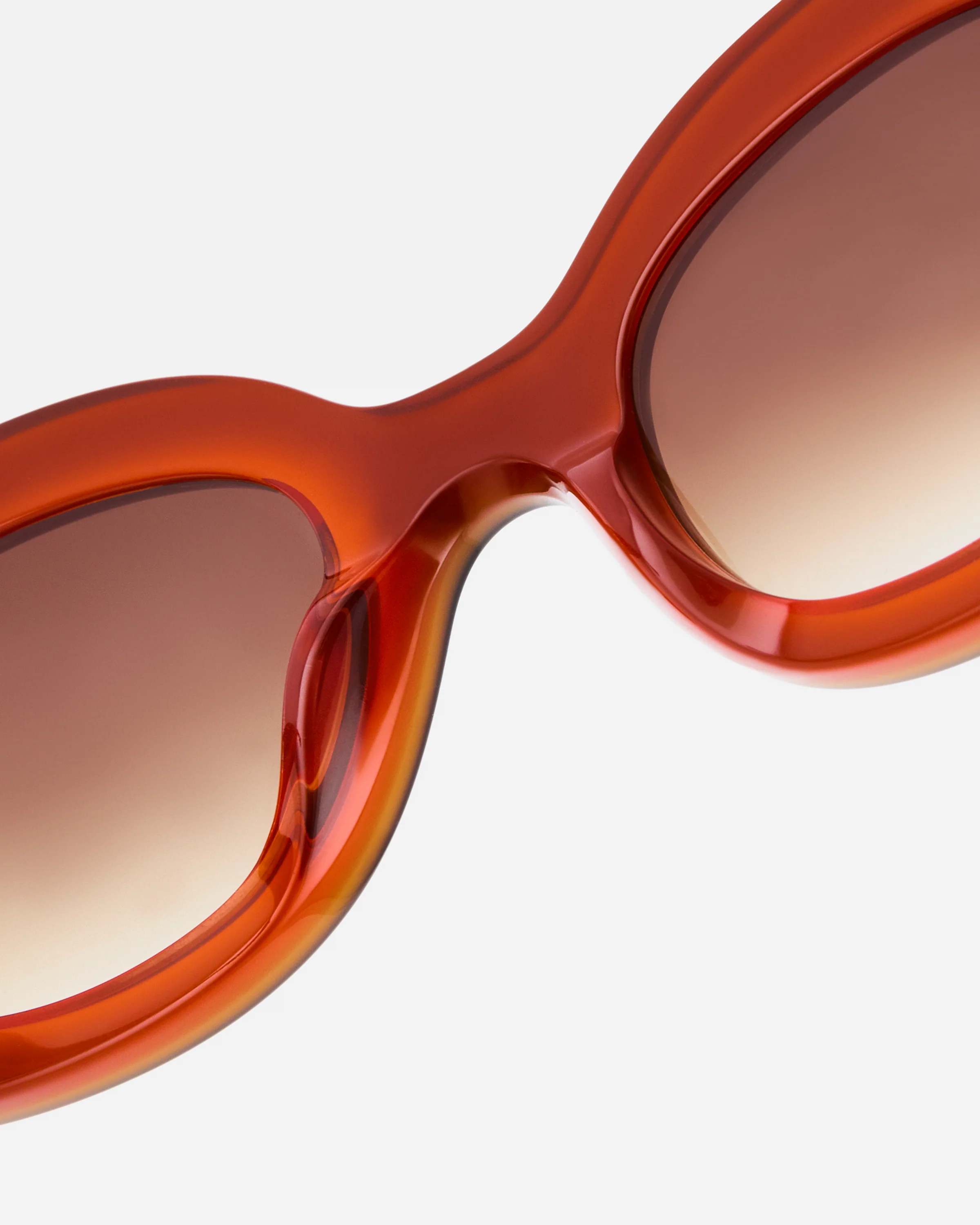 The Cinnamon - Image 5