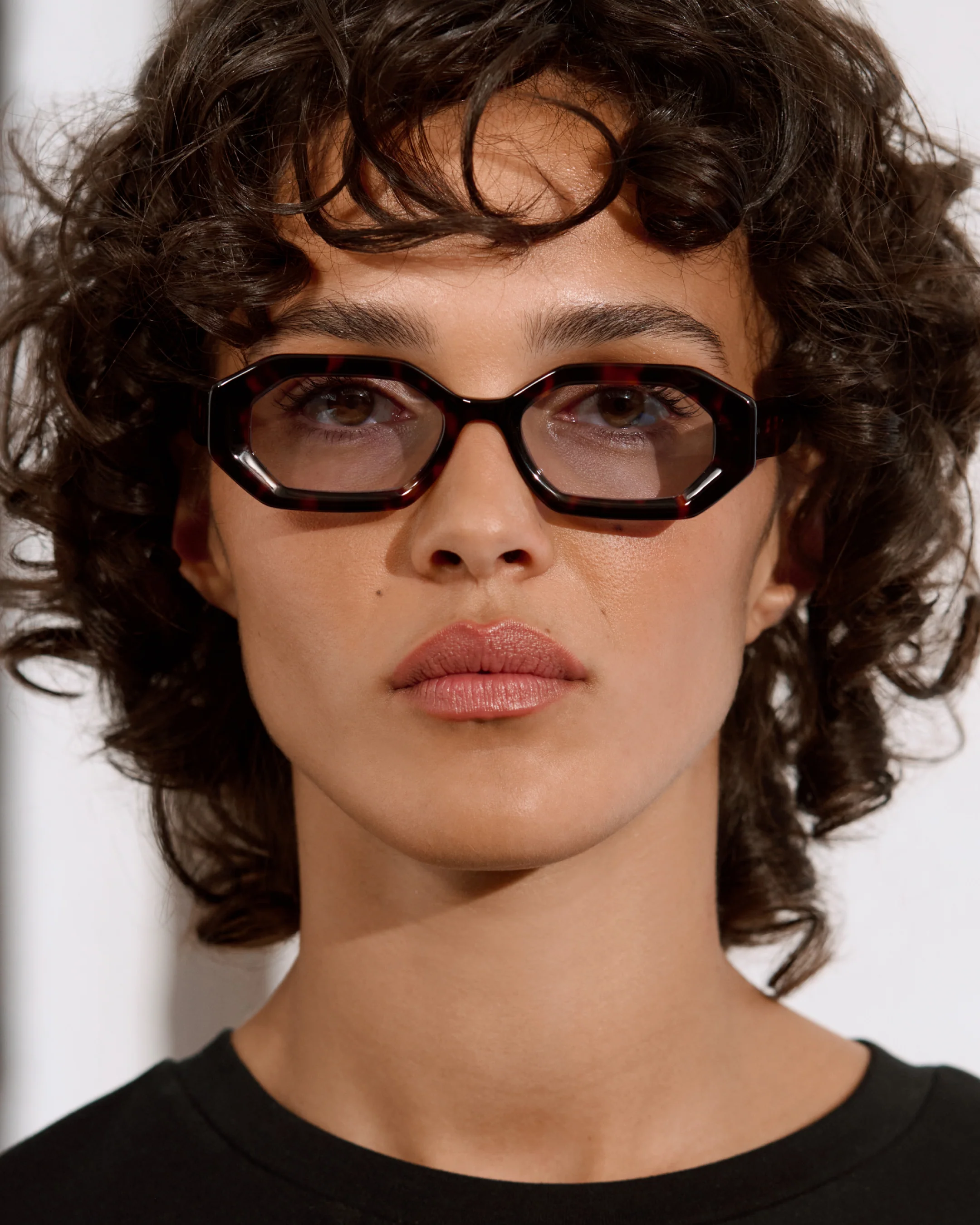 The Bacci - Image 3